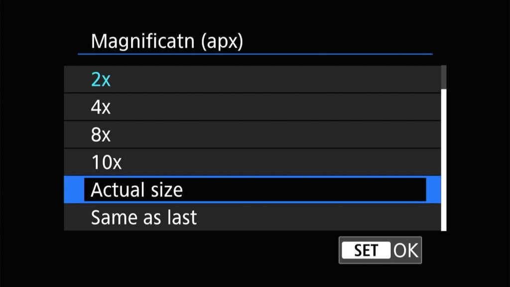 Canon R8 magnification setting