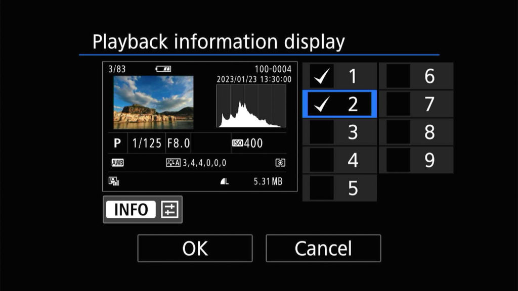 Canon R8 playback information display