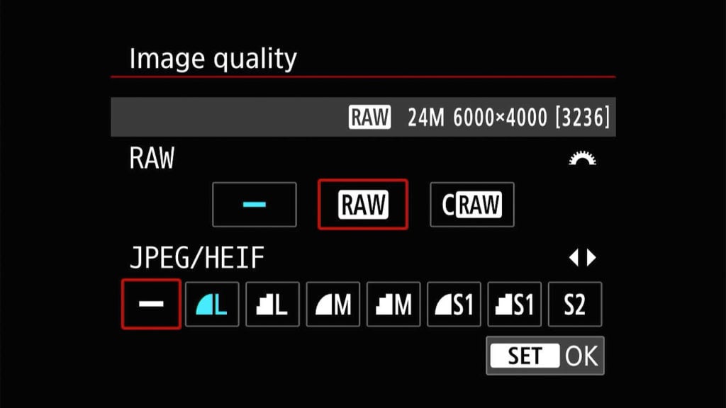Canon EOS R8 RAW camera settings