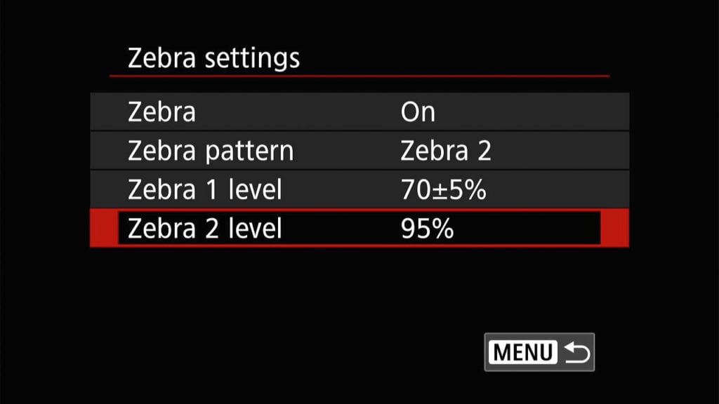 Canon R8 zebra settings