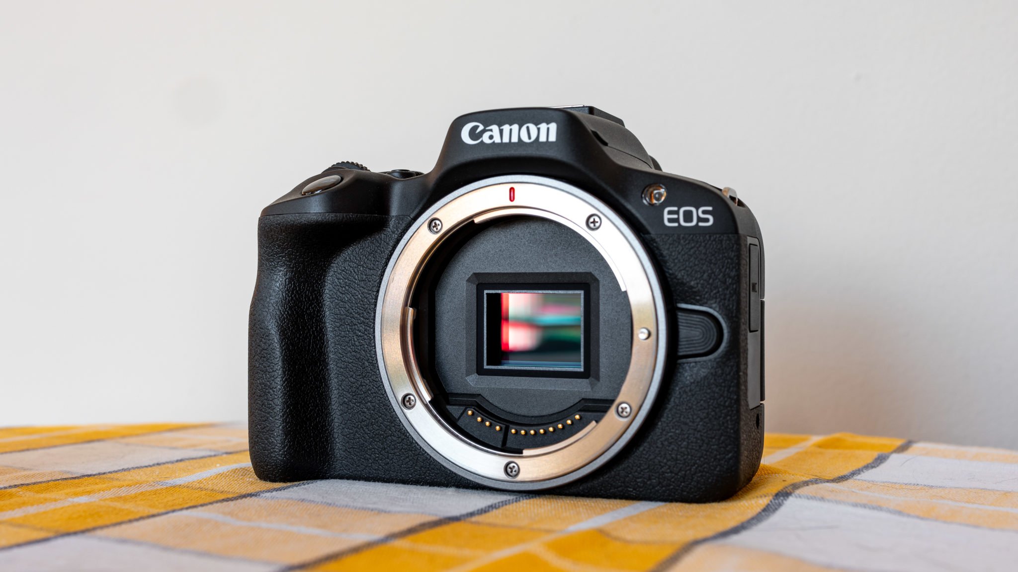 Canon RF-S Lenses Explained