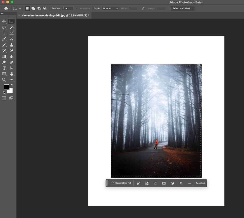Selecting the image in Photoshop