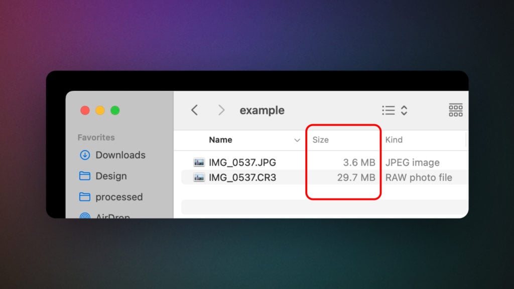 File size comparison of RAW vs JPEG