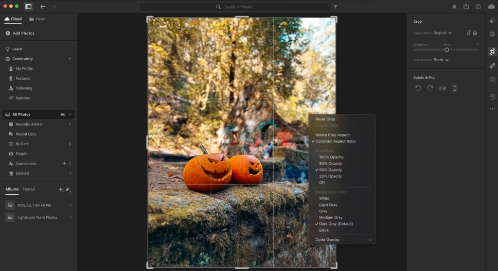 Cycling through grid options in Adobe Lightroom